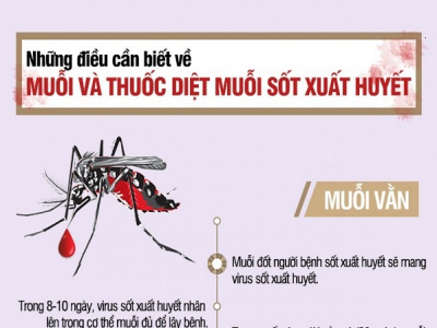 TUYÊN TRUYỀN PHÒNG BỆNH SỐT XUẤT HUYẾT CHO TRẺ EM